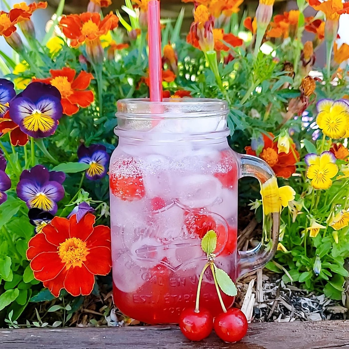 Sirop de griottes et gin fizz à la griotte